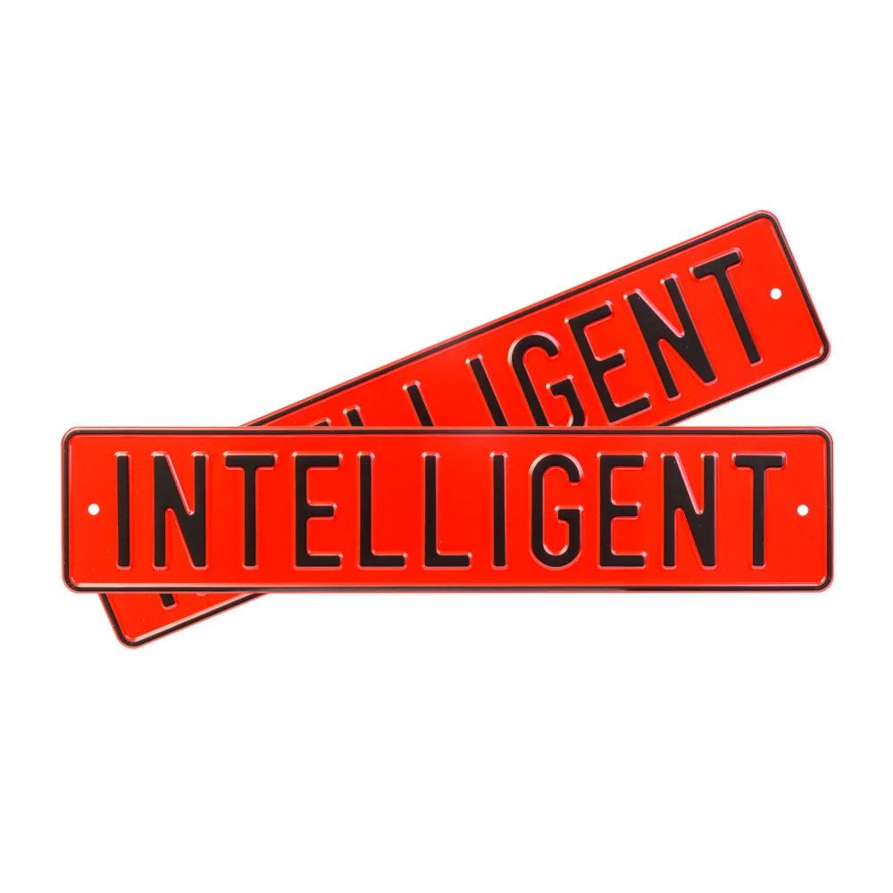 Автомобильный сувенирный номер INTELLIGENT — фото 1